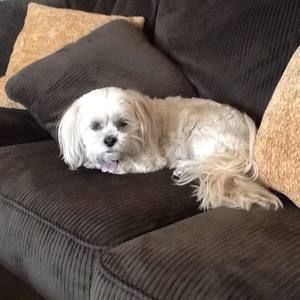 Meet your Posher, Kathi